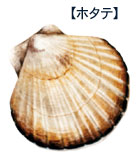 ホタテ