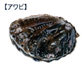 アワビ